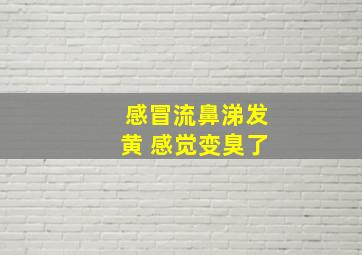 感冒流鼻涕发黄 感觉变臭了